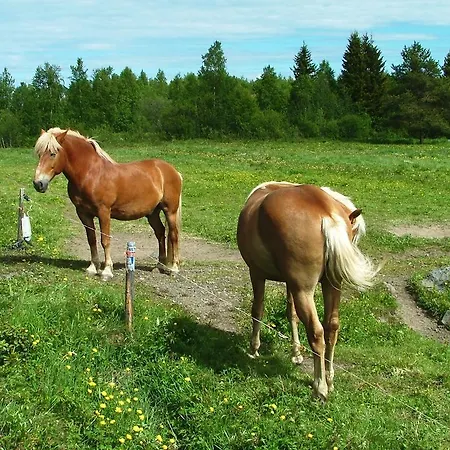Holiday home Wanha Pappila Simoniemi