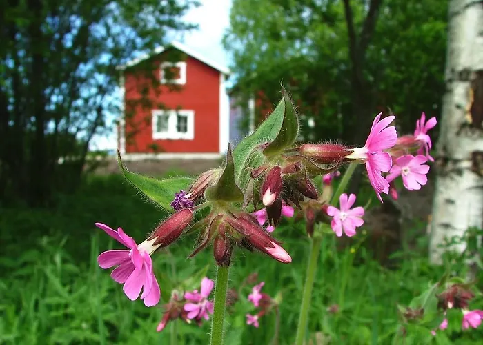 婉哈帕皮菈小屋式酒店 *