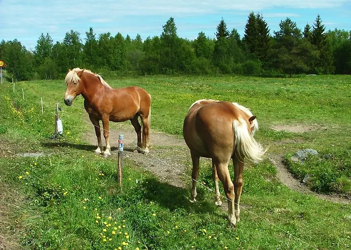 度假居 婉哈帕皮菈小屋式酒店 Simoniemi