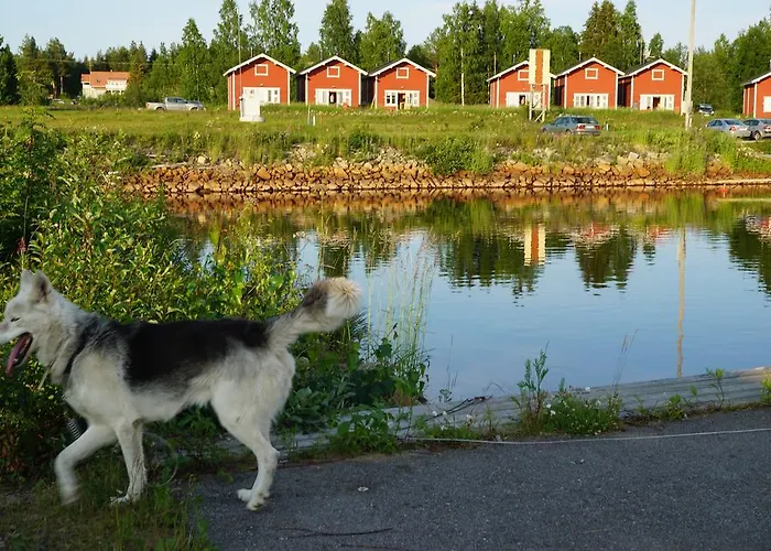婉哈帕皮菈小屋式酒店 Simoniemi